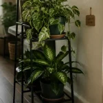 Support plante intérieur multi-niveaux en métal noir pour pots