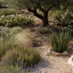 Jardin sec au soleil avec plantes méditerranéennes sans arrosage, -15°C, lavande et romarin.